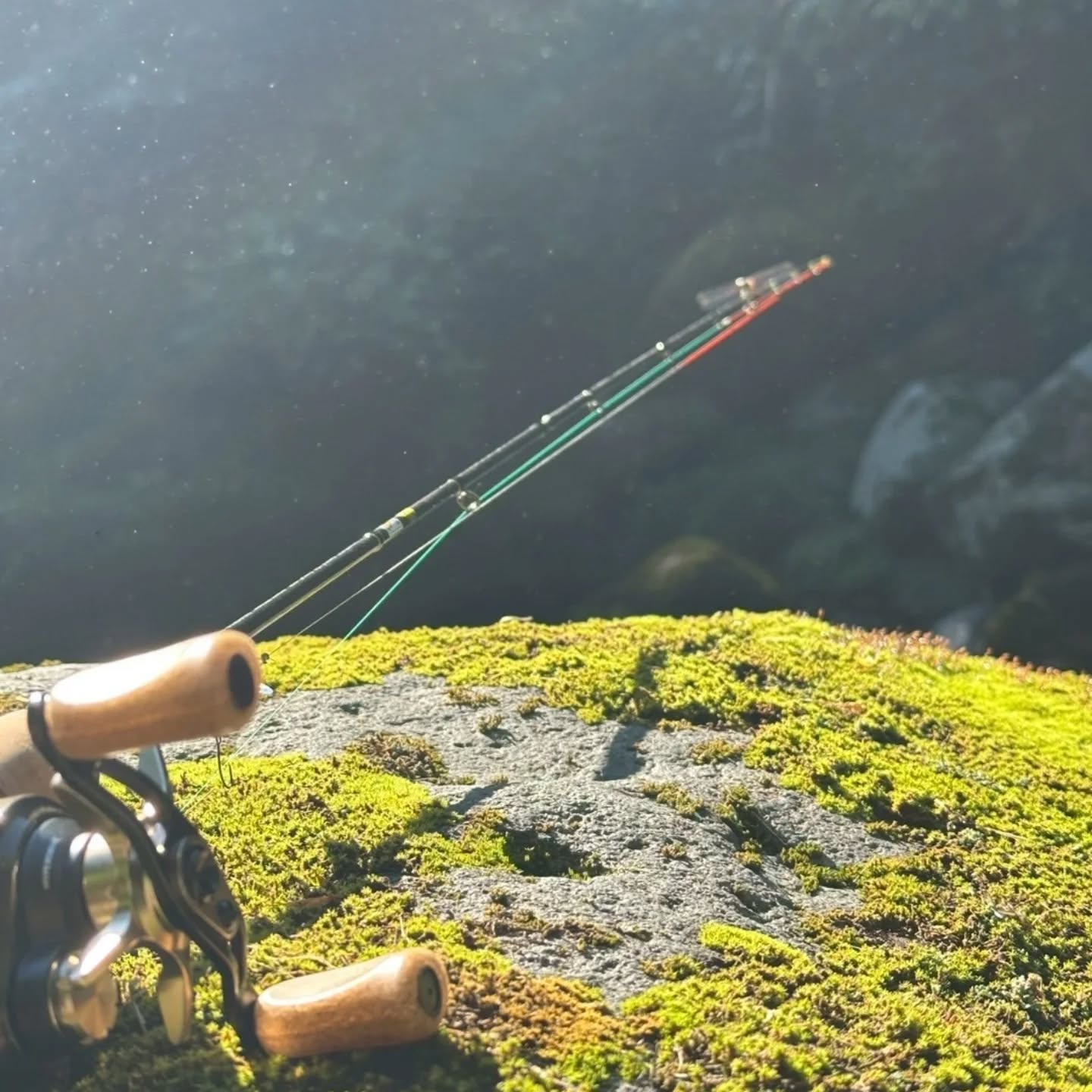日が出てくると山でも急に暑くなってくる今日この頃。