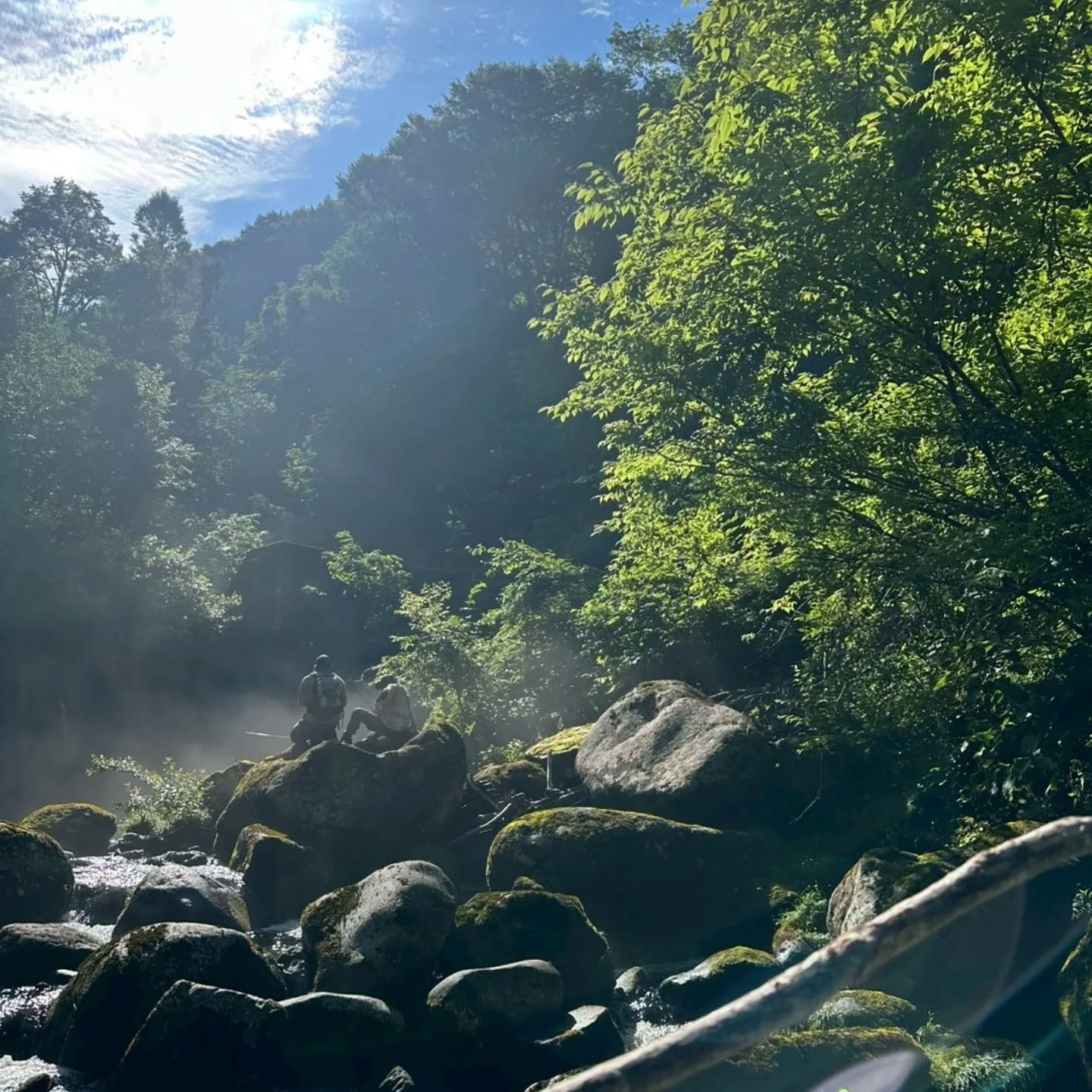 日が出てくると山でも急に暑くなってくる今日この頃。