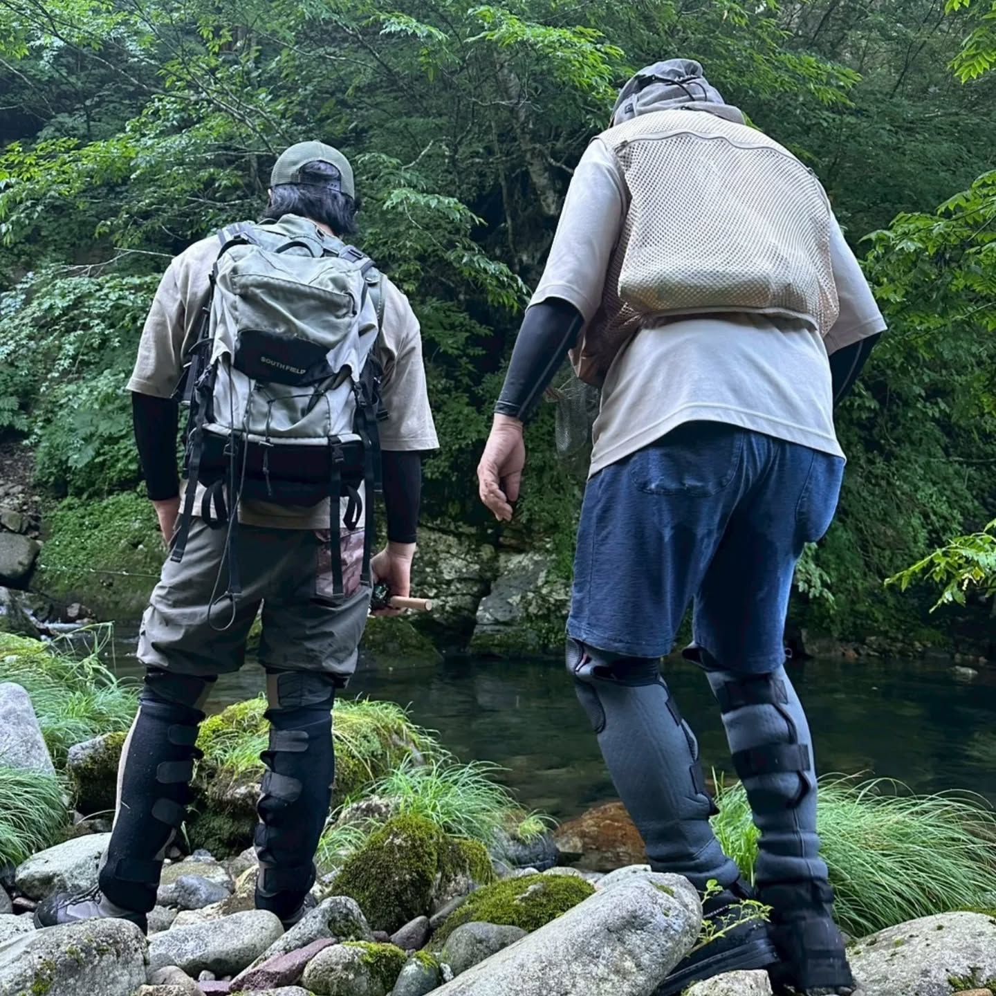 日が出てくると山でも急に暑くなってくる今日この頃。