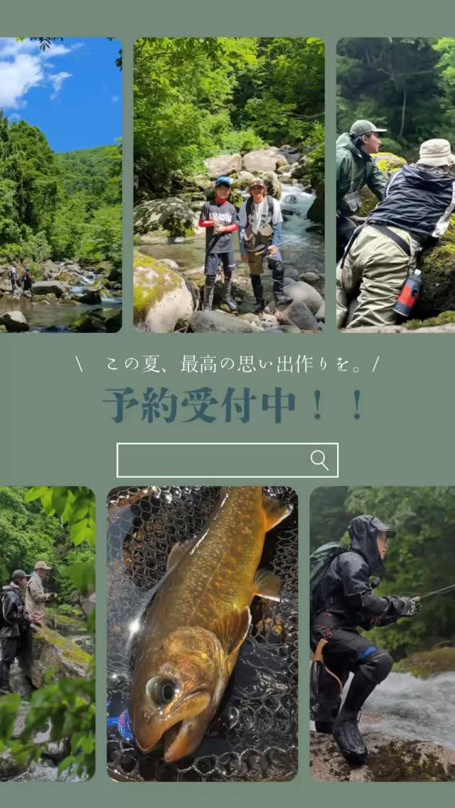 ・