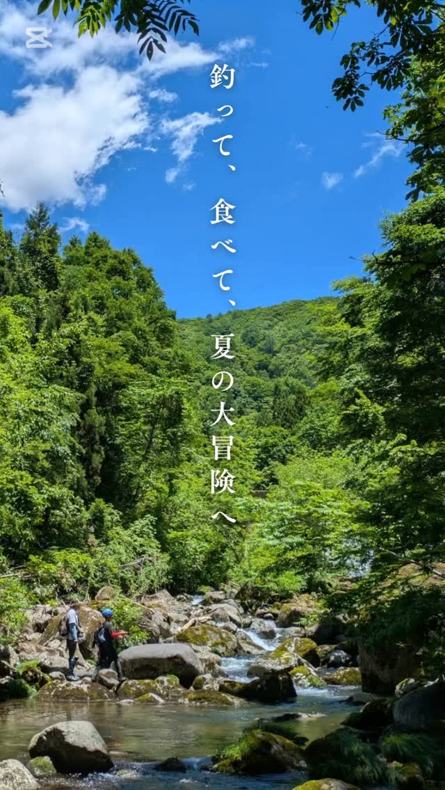 ・