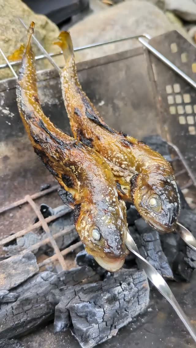 渓流釣りも残す所1ヶ月半となりました。